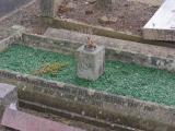 image of grave number 795063